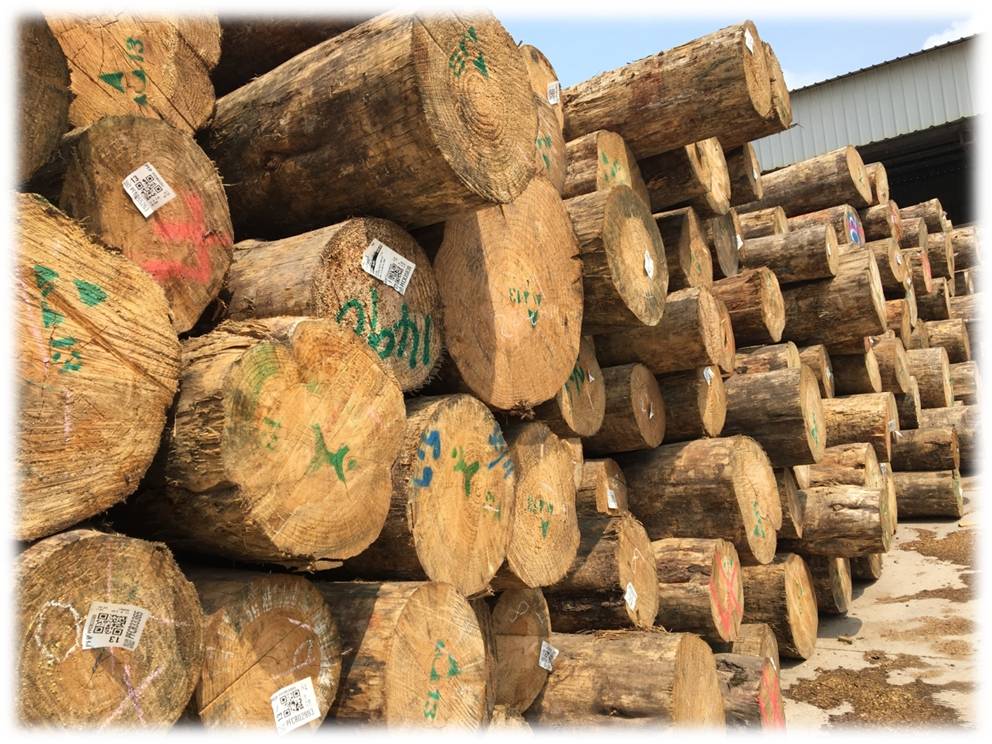 Pine Wholesale
